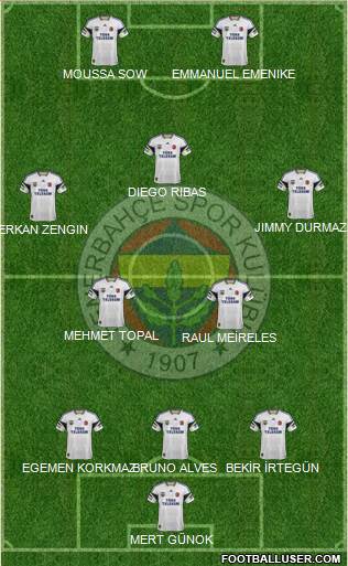 Fenerbahçe SK Formation 2014