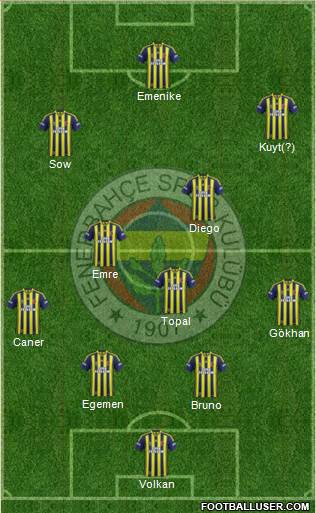Fenerbahçe SK Formation 2014