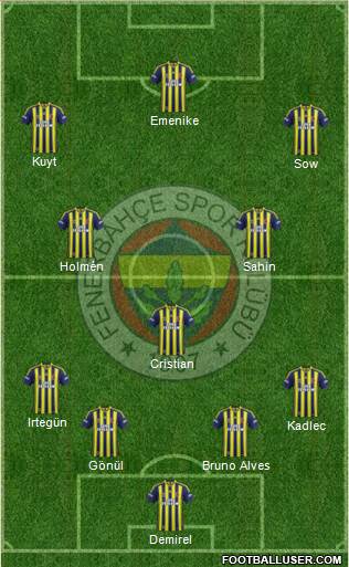 Fenerbahçe SK Formation 2014