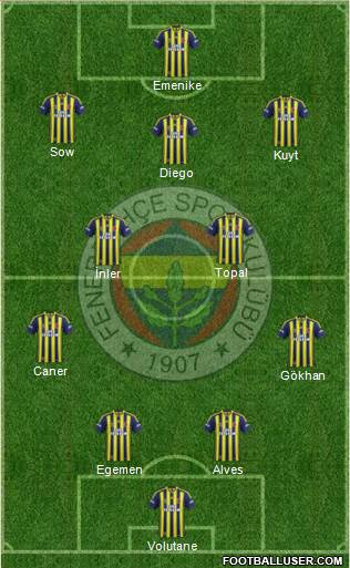 Fenerbahçe SK Formation 2014