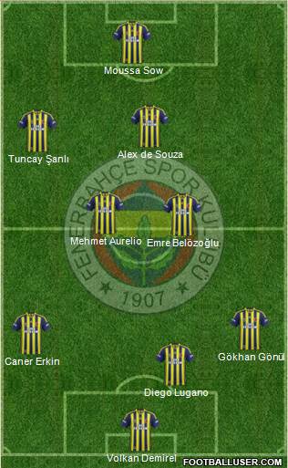 Fenerbahçe SK Formation 2014