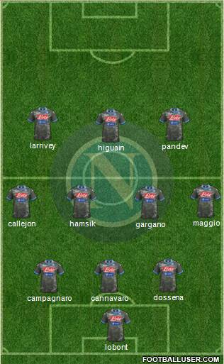 Napoli Formation 2014