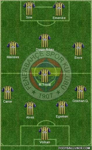 Fenerbahçe SK Formation 2014