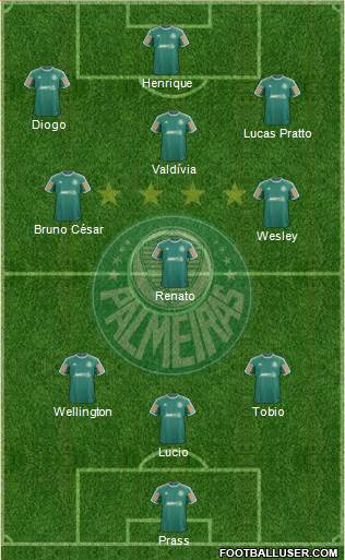 SE Palmeiras Formation 2014