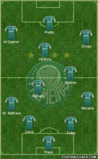 SE Palmeiras Formation 2014