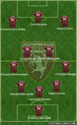 Torino Formation 2014