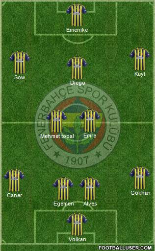 Fenerbahçe SK Formation 2014
