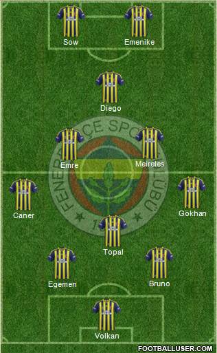 Fenerbahçe SK Formation 2014