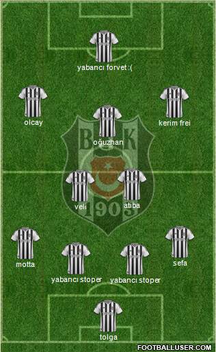 Besiktas JK Formation 2014