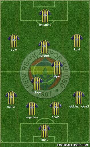 Fenerbahçe SK Formation 2014