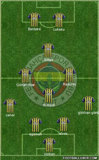 Fenerbahçe SK Formation 2014