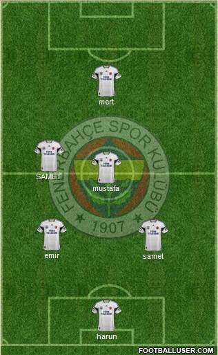 Fenerbahçe SK Formation 2014