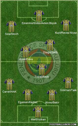 Fenerbahçe SK Formation 2014