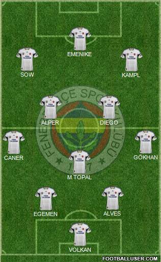 Fenerbahçe SK Formation 2014