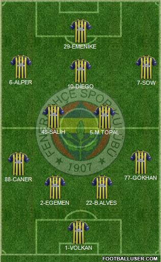 Fenerbahçe SK Formation 2014