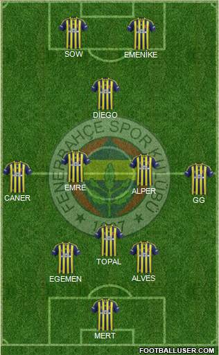 Fenerbahçe SK Formation 2014