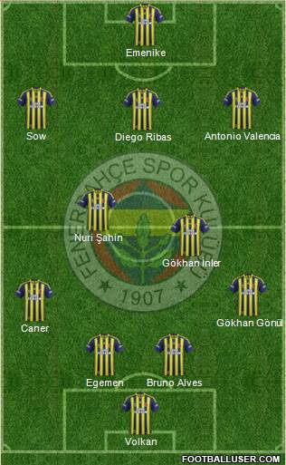 Fenerbahçe SK Formation 2014