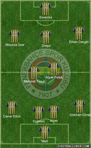 Fenerbahçe SK Formation 2014