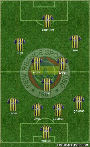 Fenerbahçe SK Formation 2014