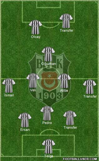 Besiktas JK Formation 2014