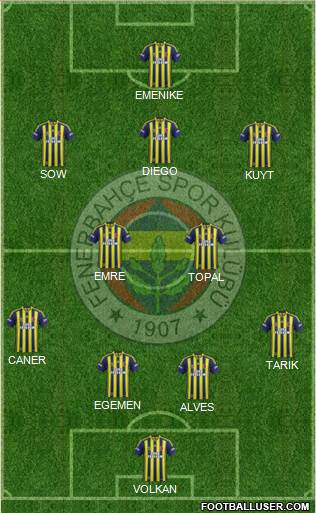 Fenerbahçe SK Formation 2014