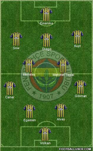 Fenerbahçe SK Formation 2014