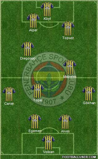 Fenerbahçe SK Formation 2014