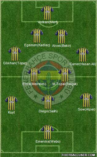 Fenerbahçe SK Formation 2014
