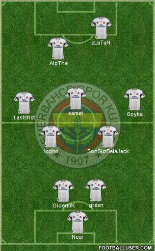 Fenerbahçe SK Formation 2014