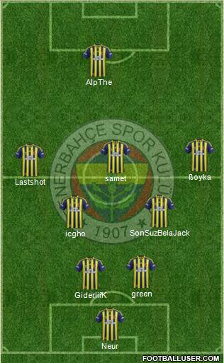 Fenerbahçe SK Formation 2014