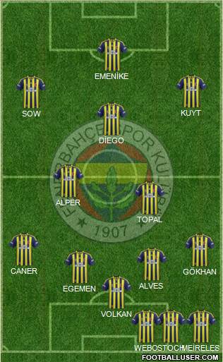 Fenerbahçe SK Formation 2014