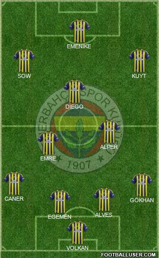 Fenerbahçe SK Formation 2014