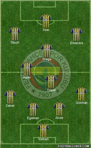 Fenerbahçe SK Formation 2014
