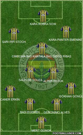 Fenerbahçe SK Formation 2014