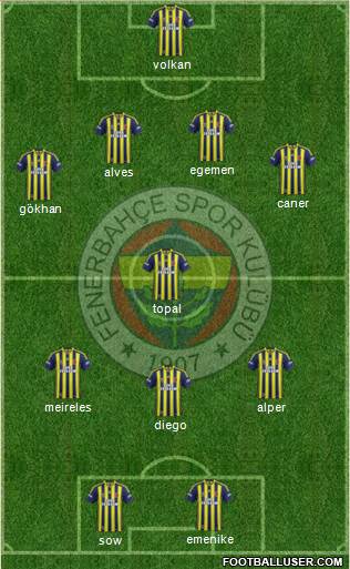 Fenerbahçe SK Formation 2014