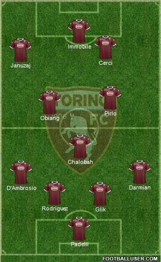Torino Formation 2014