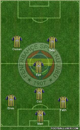 Fenerbahçe SK Formation 2014