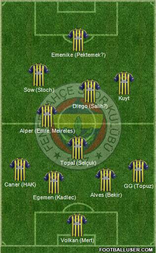 Fenerbahçe SK Formation 2014