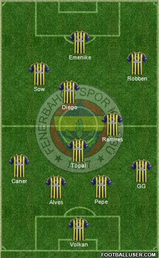 Fenerbahçe SK Formation 2014