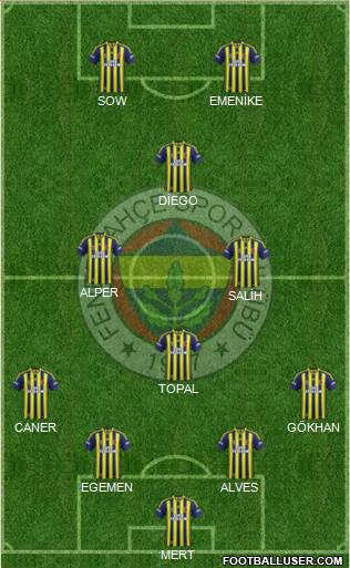 Fenerbahçe SK Formation 2014