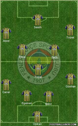 Fenerbahçe SK Formation 2014