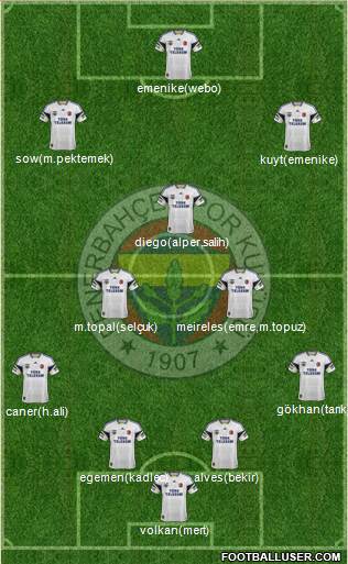 Fenerbahçe SK Formation 2014