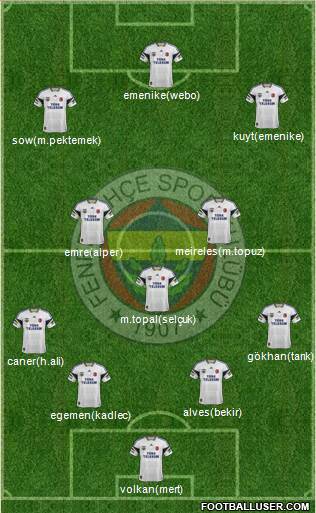 Fenerbahçe SK Formation 2014