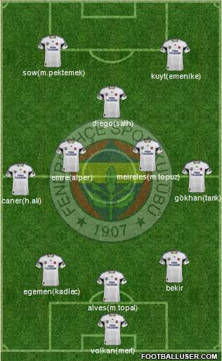 Fenerbahçe SK Formation 2014