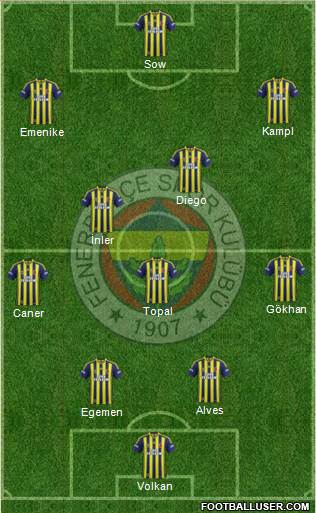 Fenerbahçe SK Formation 2014