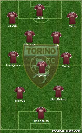 Torino Formation 2014