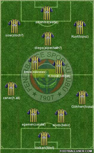 Fenerbahçe SK Formation 2014