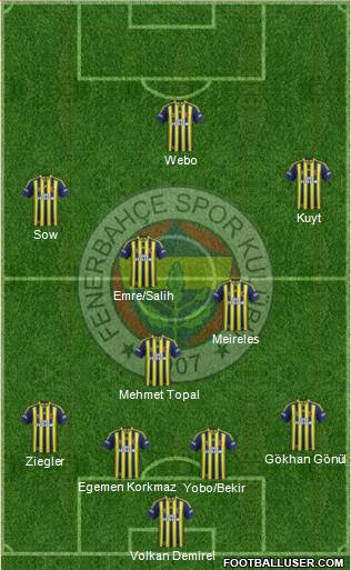 Fenerbahçe SK Formation 2014