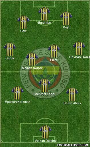 Fenerbahçe SK Formation 2014
