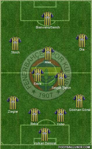 Fenerbahçe SK Formation 2014